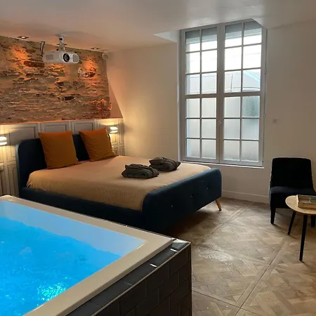 Avec Jacuzzi Sauna & Cinema - Nid D'angers * Angers