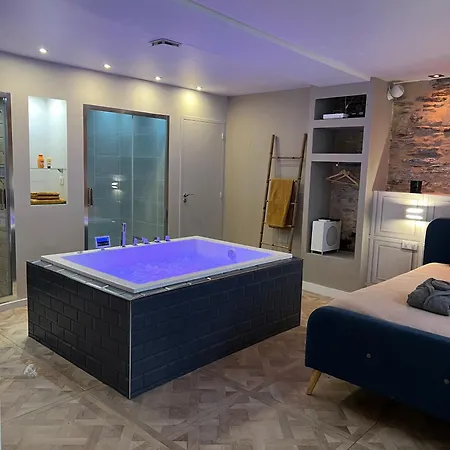 Avec Jacuzzi Sauna & Cinema - Nid D'angers * Angers