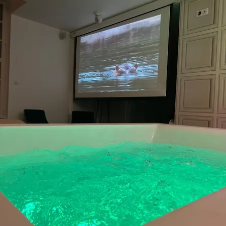 Avec Jacuzzi Sauna & Cinema - Nid D'angers * Angers