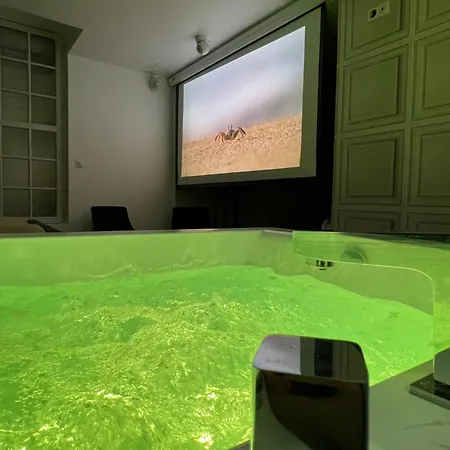 Avec Jacuzzi Sauna & Cinema - Nid D'angers Apartament *