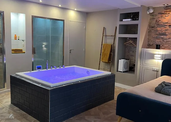 Avec Jacuzzi Sauna & Cinema - Nid D'angers * アンジェ