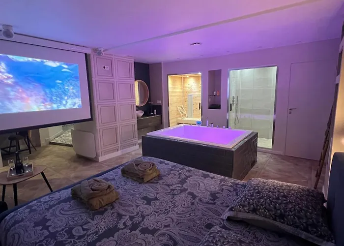 Appartamento Avec Jacuzzi Sauna&home Cinéma - Nid D'angers Angers