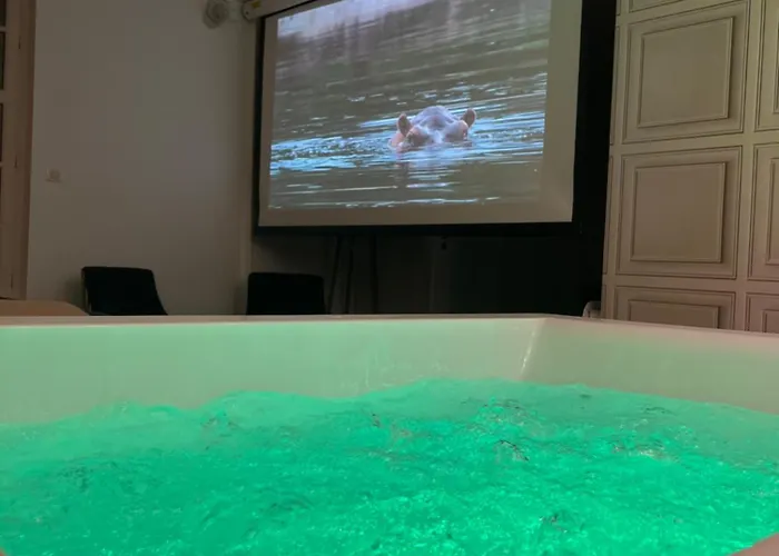 Avec Jacuzzi Sauna & Cinema - Nid D'angers * アンジェ